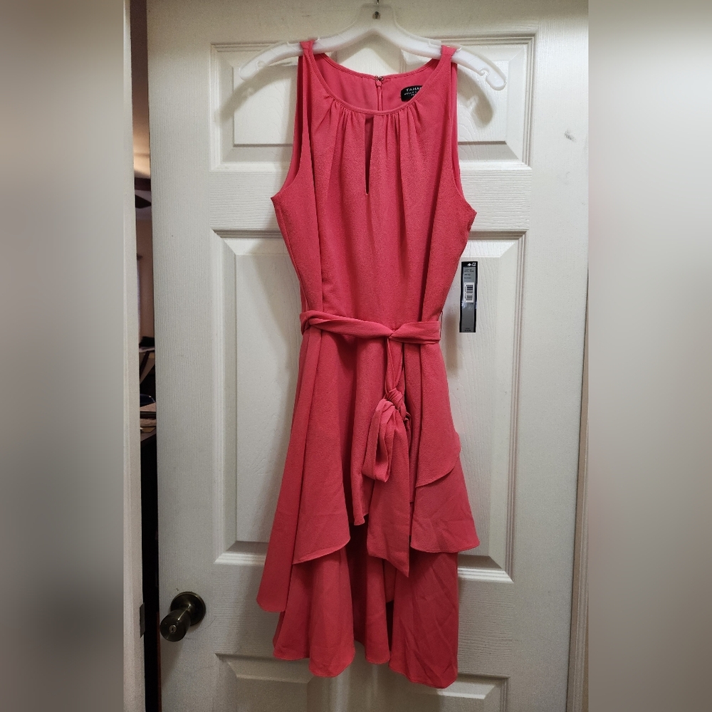 Pink Tahari dress